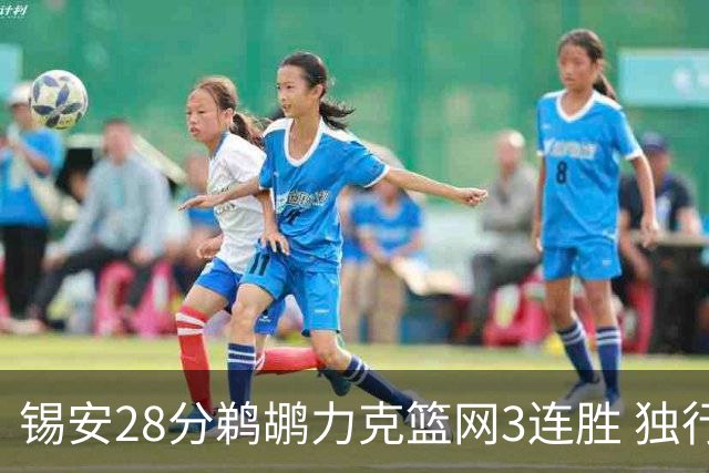 锡安28分鹈鹕力克篮网3连胜 独行侠险胜马刺